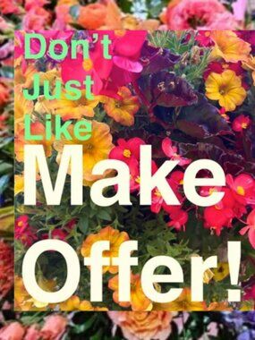 Welcome All Reasonable Offers!